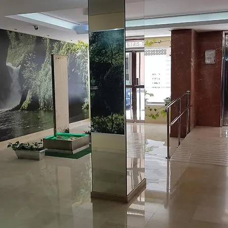 Bonito Y Luminoso, * 托雷莫利诺斯